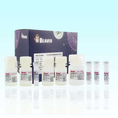 China BeaverBeads Wastewater Nucleic Acid Kit Magnetic Bead Isolation for sale