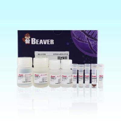 China 100 Rxns BeaverBeads Plant DNA Kit For Gene Breeding for sale