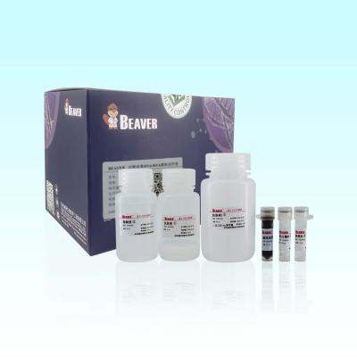 China 20 Rxns BeaverBeads Animal Viral DNA RNA Kit For Scientific Research for sale
