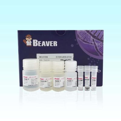 China Equipo 100 Rxns de la DNA del tejido de BeaverBeads para las muestras complejas múltiples en venta