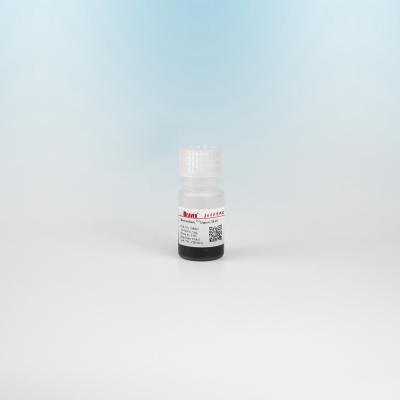 China BeaverBeads DEAE Magnetic Beads Protein Purification With Fast Magnetic Response for sale