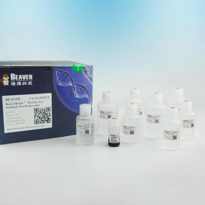 China BeaverBeads Protein A / Protein G Antibody Purification Beads for sale