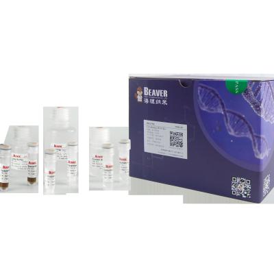 중국 BeaverBeads Circulating DNA Kit Single Sample Automatic Extraction 판매용