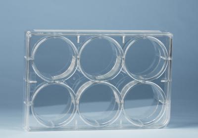 China 6 Well TCT Plate Cell Culture Consumables Transparent for sale