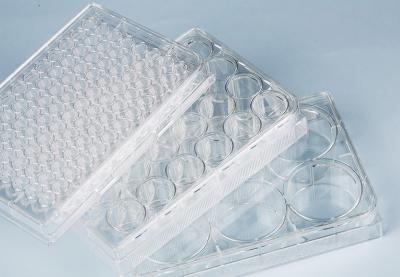 China Suspension Cell Culture 24 Well Plate Medical Lab Consumables Sterile for sale