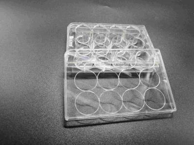 China Tissue Culture Treatment 12 Well Plate Standard Packing Cell Culture Consumables for sale