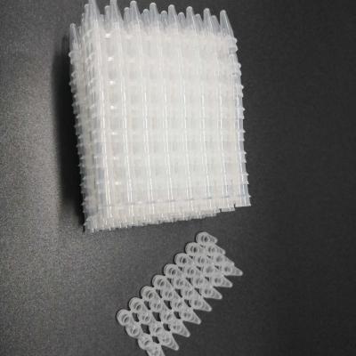China 0.1mL PCR 8-Strip Tubes Clear Low Pipe Medical Lab Consumables No Cover for sale