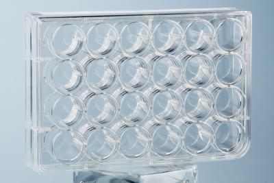 China Lab 24 Well Plate Cell Culture Consumables Polystyrene for sale