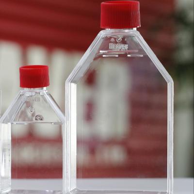 China Materiales consumibles del cultivo celular del frasco 25cm2 del cultivo celular de la suspensión en venta