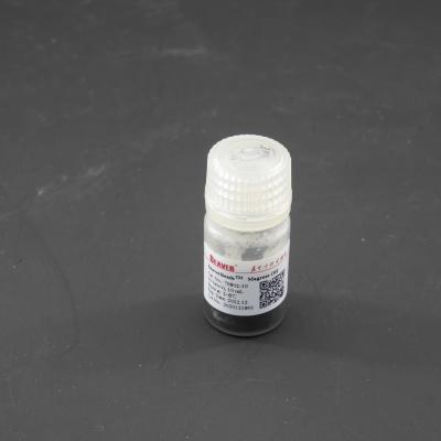 China 50% Volume Ratio 10 mL Agarose OH Magbeads For Protein Purification for sale