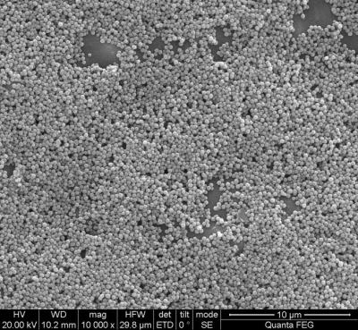 Chine 100 perles magnétiques de silice de ml pour l'extraction d'ADN avec le magnétisme fort superbe à vendre