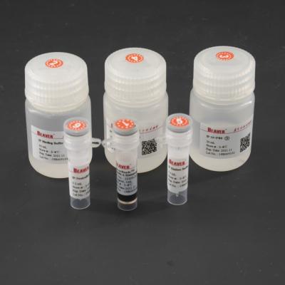 China 10 mg/mL Magnetic Beads For Immunoprecipitation For Target Capture for sale
