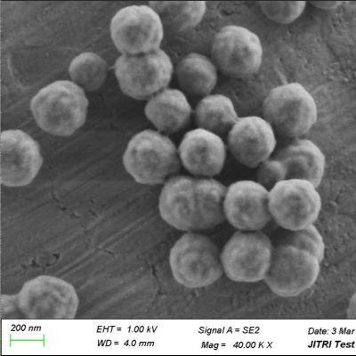 Cina Perle magnetiche della silice magnetite per il PC 300nm dell'estrazione del RNA 50 mg/ml 10 ml in vendita