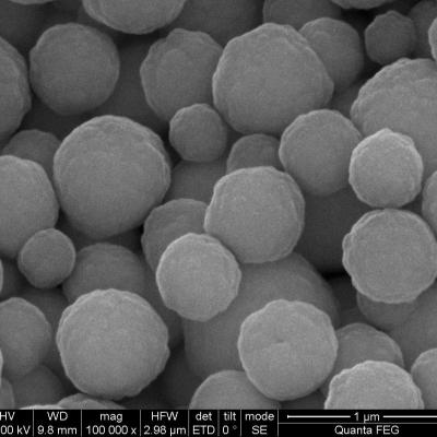 China 1μm Streptavidin Magnetic Beads For Cell Sorting Probe Capture 10 mg / mL 1 mL for sale