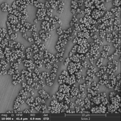 China grânulos magnéticos de 2.8μm Streptavidin para a classificação da pilha da quimioluminescência à venda