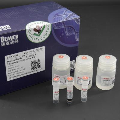 China 10 mg / mL Protein A  Immunoprecipitation Kit 20 Reactions for sale