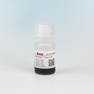 China Agarose DEAE Magnetic Beads Protein Purification 30-150 μm 10% Volume Ratio 5 mL for sale