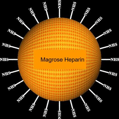China Μm de Magbeads 30-150 da purificação da proteína da heparina do Agarose, relação do volume de 10%, 1000 mL à venda