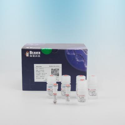 China 100 Reactions Blood DNA Kit For Blood DNA Extraction For Automatic Operation for sale