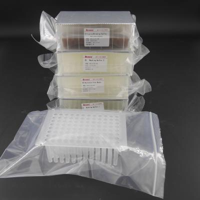 China V Bottom Viral DNA RNA Kit For Viral Nucleic Acid Extraction Prefilled Plates 96 Reactions for sale