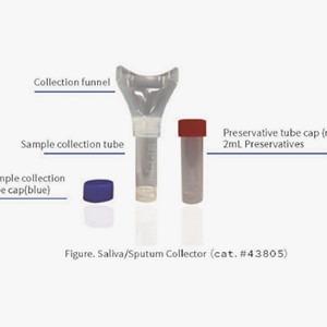 China Jogos da coleção da amostra da saliva para recolher o tubo da coleção das amostras 10mL da saliva à venda