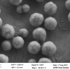 Cina Perle magnetiche carbossiliche 500nm dell'estrazione virale del RNA 10 mg/ml 5 ml in vendita