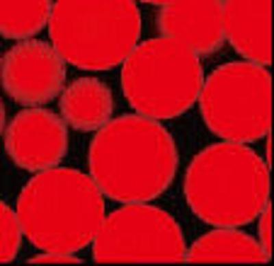 中国 N - ヒドロキシSuccinimide Nanoparticle NHS Activated Magnetic Beads 30 - 150 μm 1つのmL 販売のため