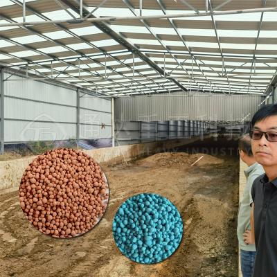 China Linha de produção de grânulos de fertilizantes orgânicos redondos de resíduos de esterco de frango de 5-10 t/h à venda