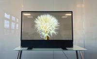Quality High definition OLED Transparent Display See Through OLED for sale