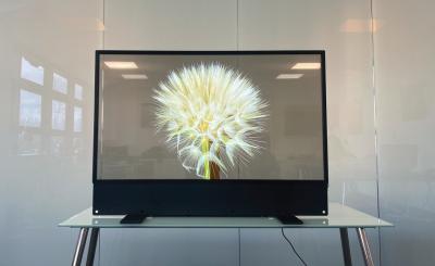 China High definition OLED Transparent Display See Through OLED for sale