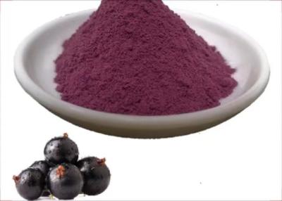 China Purple 25% Anthocyanin Blackcurrant Fruit Powder Anticancer for sale