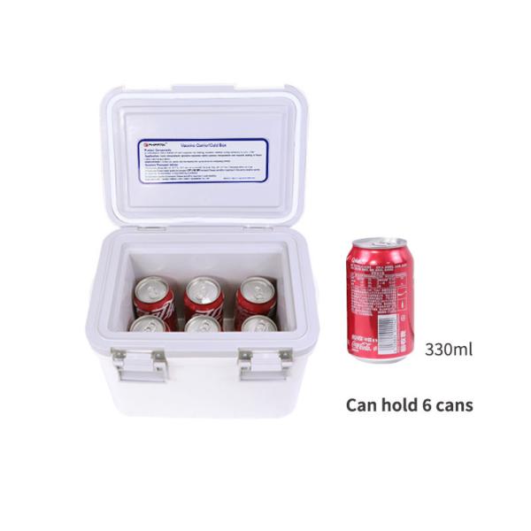 Quality Temperature Control Ice Cooler Boxes Delivery Portable Freezer Box for sale