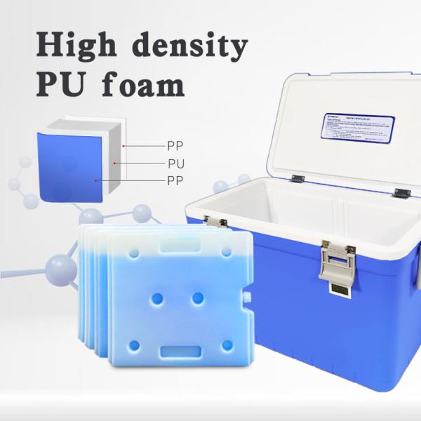 Quality 35L Plastic Cooler Box Vaccine Cold Chain Box Medical Transport Box Wholesale for sale