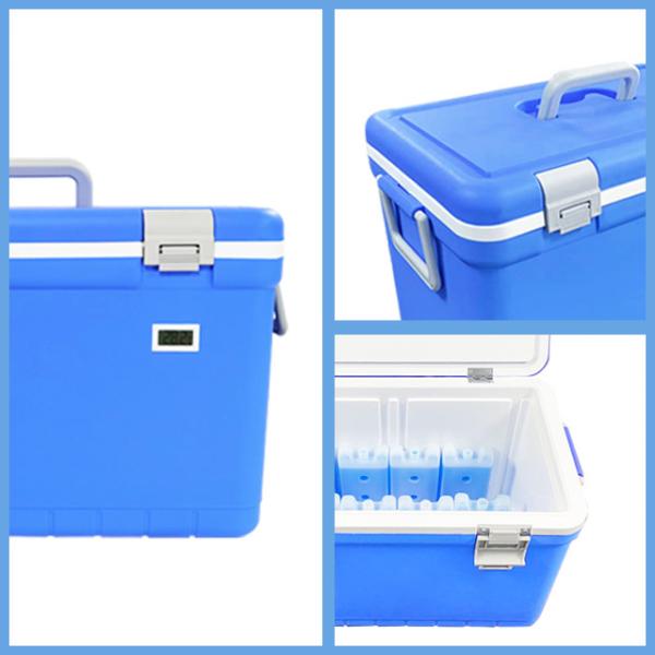 Quality Large Capacity Portable Cooler for Medicine Cold Chain Package for sale