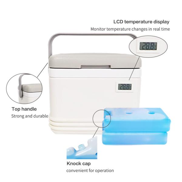 Quality 5Ltr Portable Medical Cooler Box White Cold Storage Box For Medicine for sale