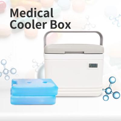 China Cold Chain Ice Chest Cooler Box 5 Liter Cool Box For Insulin for sale