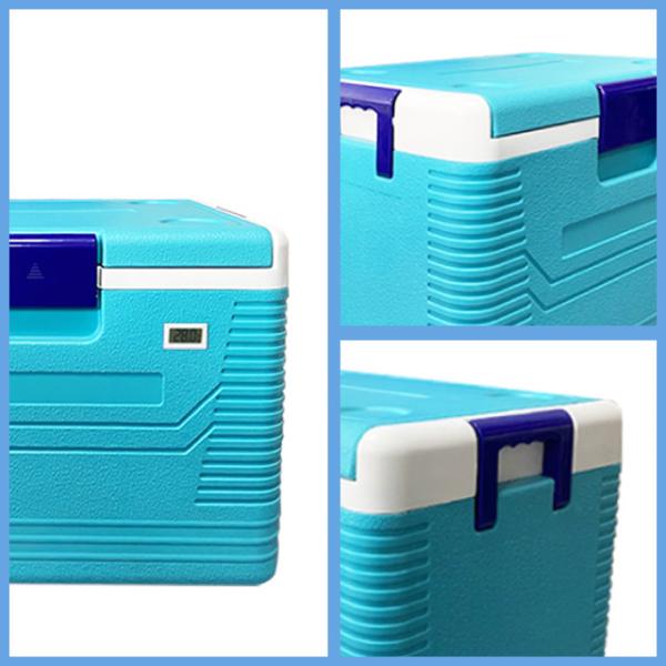 Quality 54 Liters Hard Cooler Box For Camping And Picnics Medicines for sale