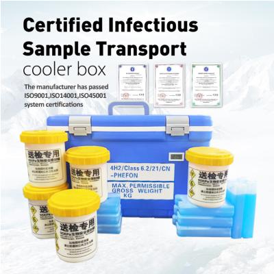 China UN3373 espesor de aislamiento ≥25 mm PE PP Caja de envío para el transporte de muestras médicas en venta