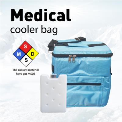 China Medication Insulated Soft Cooler Bag Diabetic 15L Cold Box And Vaccine Carrier for sale