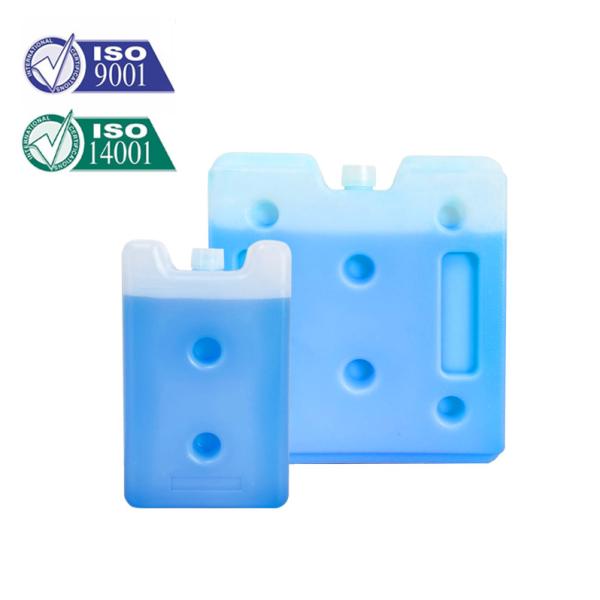 Quality Factory Hot Sale Customize Reusable hard Shell Gel Ice Pack Ice Brick For Cooling Storage for sale