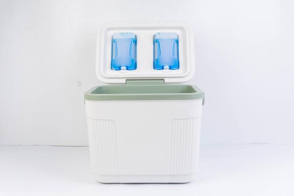 Quality 22L Ice Cooler Box Plastic OEM Ice Chest Cooler Box for sale