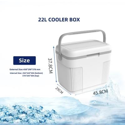 China Caja de enfriador de caja de hielo de plástico OEM para acampar Blanco Mejor caja de enfriamiento fácil de llevar en venta