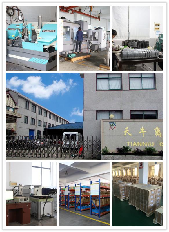 確認済みの中国サプライヤー - Changzhou TIANNIU Transmission Equipment Co., Ltd
