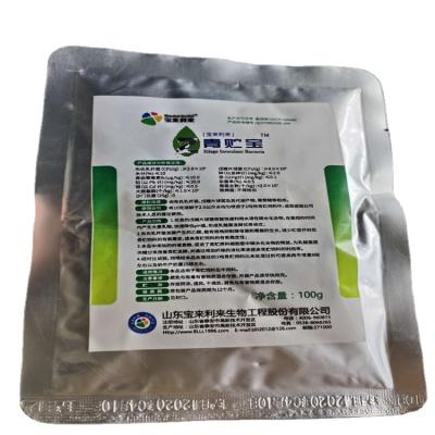 China Animal Feed Silage Starter Ruminants Additively Feed Fresh Cellulase To Promote Nutrient Intake Feeding for sale