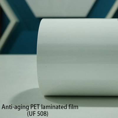 China 120 Micron Weather Resistance 0.12mm PET Laminated Film for sale