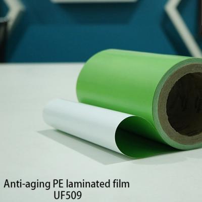 Chine Film du polyéthylène 90um haute densité de RoHS 0.09mm à vendre