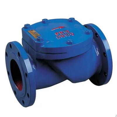 China QT450 Cast Iron Check Valve Hydraulic Sewage PN10 Flap Flanged Ball Check Valve for sale