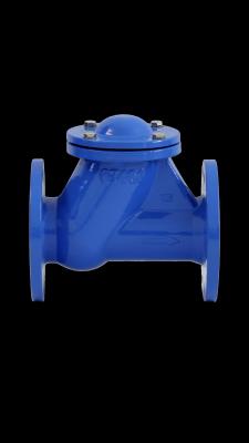 China BS DIN Ball Check Valve Rubber Seat GGG50 PN16 QT450 Wastewater Oil Gas for sale