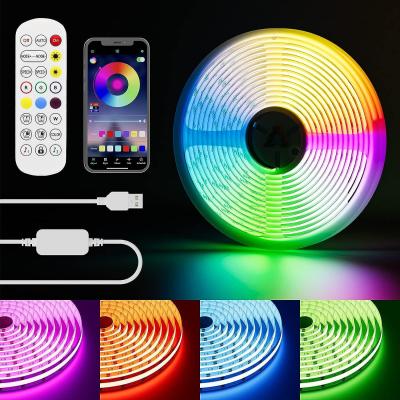 China RGB Smart IC COB LED Strip Light Addressable 16.4ft/5m 24V Color Flowing Strip Light Multicolor Flexible Tape Light Kit for sale