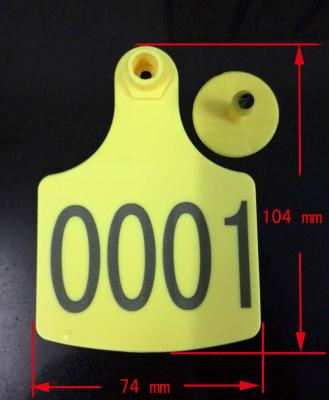 China animal cattle ear tag certificate,laser ear tag,104*74mm,super large ear tag for sale